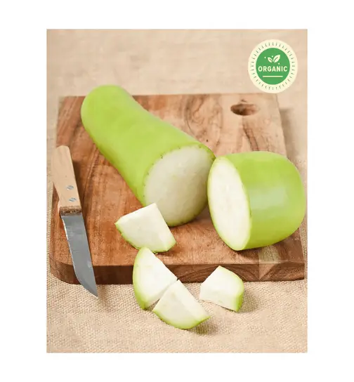 Organic Certified Bottle Gourd (Sorekaayi) 1 Piece